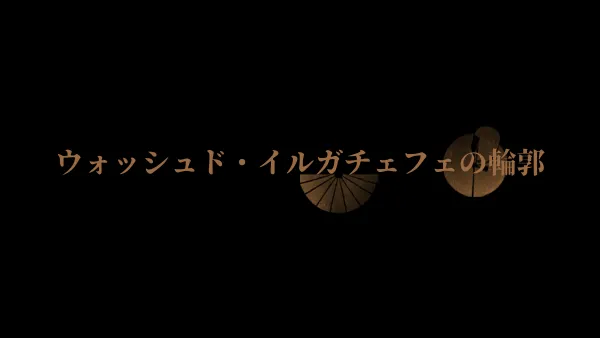 ウォッシュド・イルガチェフェの花・柑橘・透明感の風味図